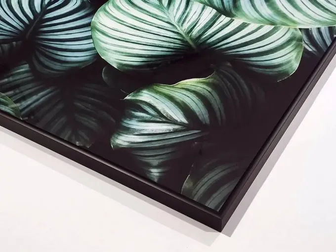 Leaf poster 175 - Graphic design. Green leaves with clear veins on a dark background.