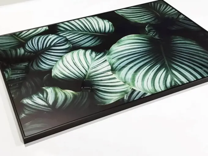 Leaf Poster 175 - Graphic design featuring green leaves with prominent veins on a dark background.