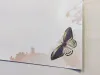 Magnetic dry-erase board for kids featuring butterflies in green and purple on a light background.