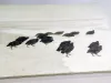Reproduction of "Partridges in Snow" by Józef Chełmoński. A flock of partridges on a white background in various poses.