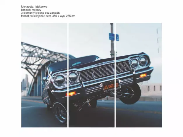 Custom laminated latex wallpaper 350x265cm - Graphic design. Three panels feature a classic style.