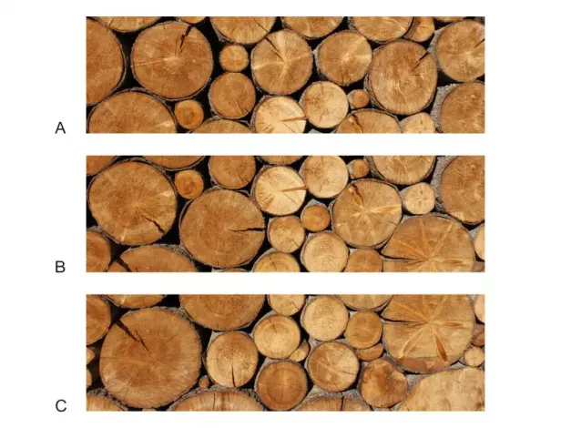 Custom self-adhesive monomeric wallpaper printed from photo FP78, size 205x60 cm - Graphic design elements.