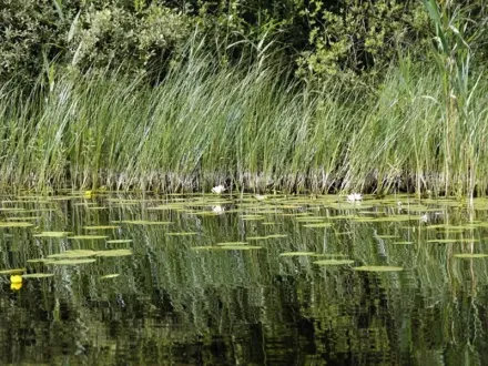 Indywidualna fototapeta samoprzylepna wall art wzór 