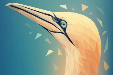 Bird head wall mural FP 6424 - Graphic design featuring a geometric bird shape with triangular elements in the background.