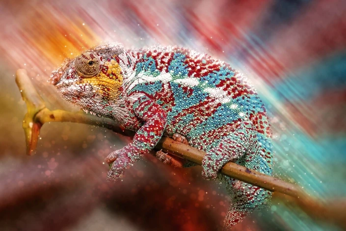 Chameleon wall mural FP 6400 - Graphic design featuring a chameleon on a branch with vibrant colors and dynamic patterns.