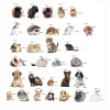 Magnets featuring pets - Graphic design with outlined images of various pets in vibrant colors.