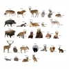 Forest animal magnets - Graphic design featuring various forest animals in realistic shapes.