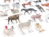Farm animal magnets featuring realistic shapes of various farm animals.