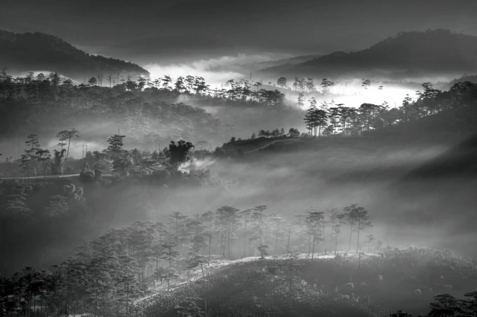 Mountain landscape wall mural FP 6438 - Graphic design. Gray mountains with trees in a misty setting.