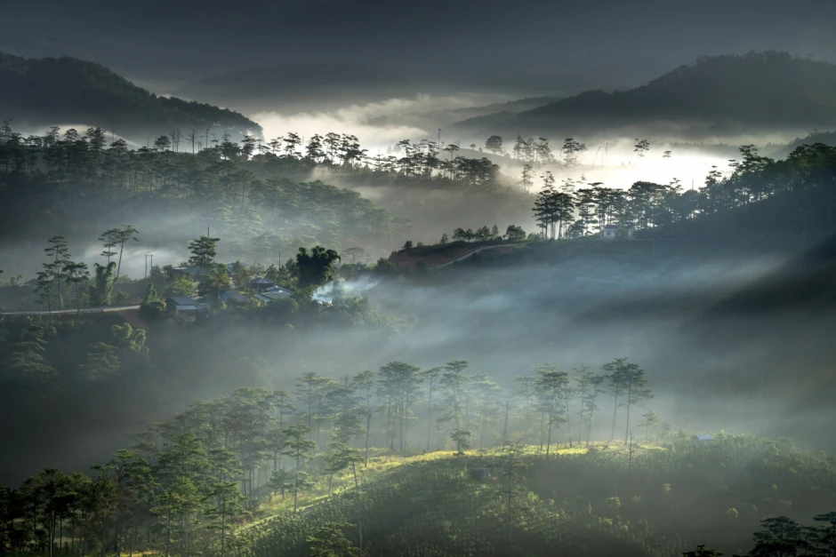 Mountain landscape wall mural FP 6438 - Graphic design featuring mountains, forests, and mist.