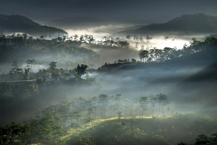 Mountain landscape wall mural FP 6438 - Graphic design featuring mountains, forests, and mist.