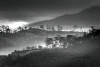 Wall mural of mountains in clouds FP 6473 - Graphic design. Black and white scene with mountains, trees, and fog.