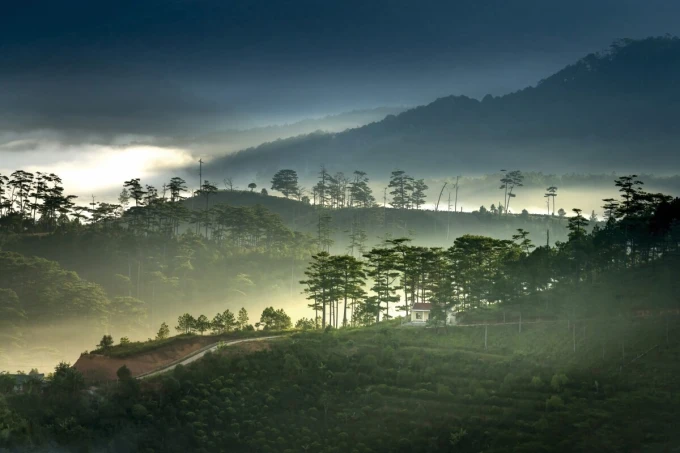 Wall mural of mountains in clouds FP 6473 - Graphic design featuring mountains, clouds, and trees in various shades.