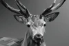 Wall mural deer FP 6435 - Graphic design featuring a geometric deer in shades of gray.