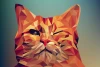 Wall mural cat FP 6434 - Graphic design featuring a polygonal cat in shades of orange and brown.