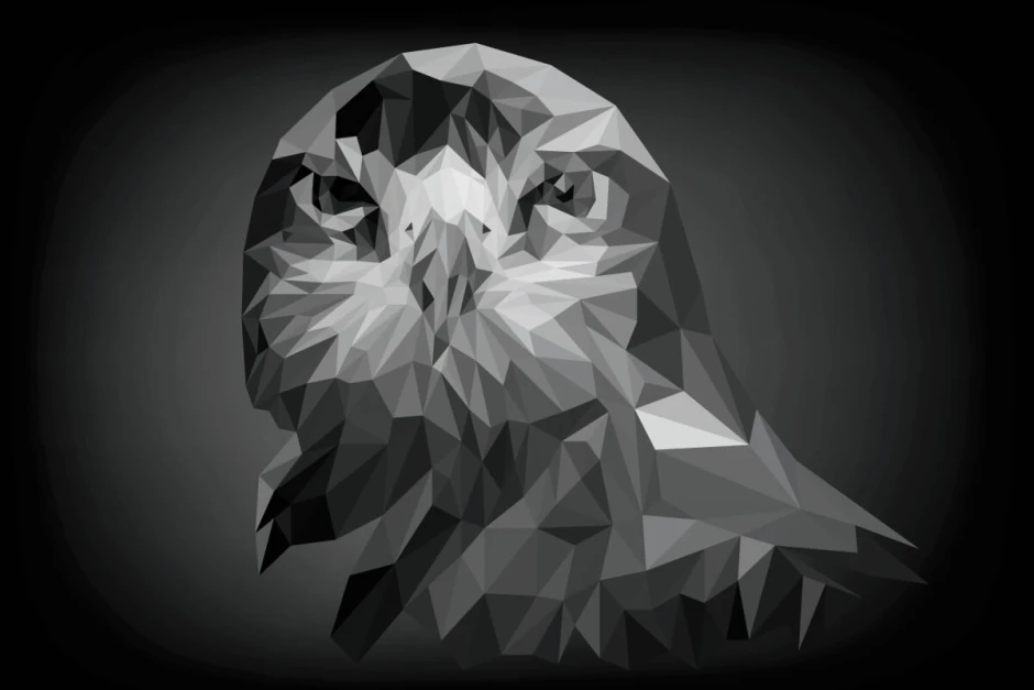 Wall mural eagle FP 6432 - Graphic design featuring an eagle in geometric shapes.