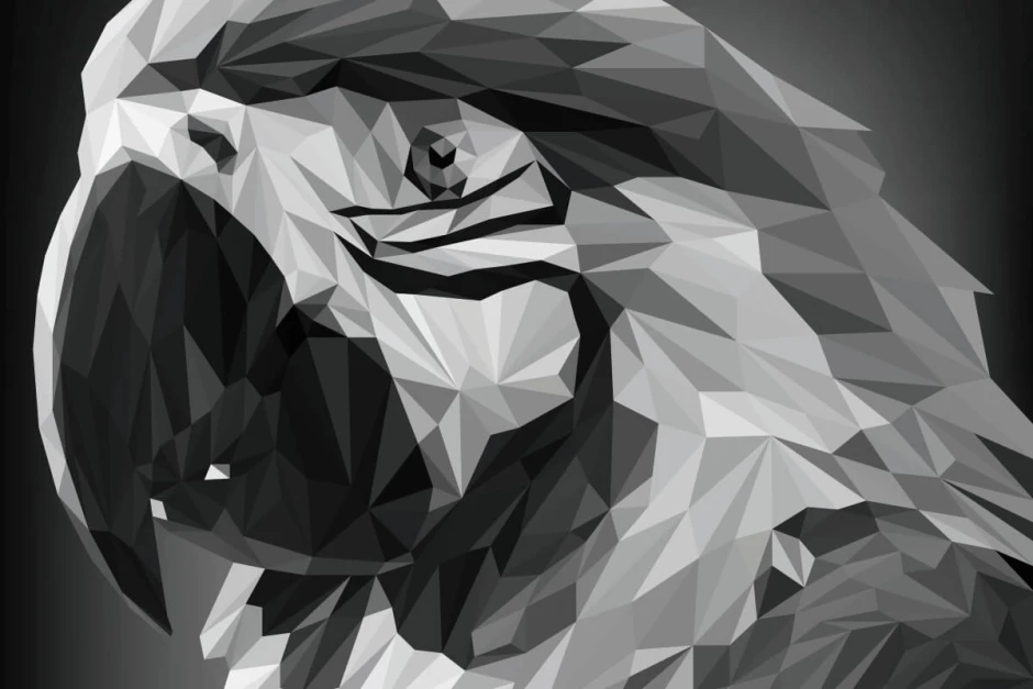 Wall mural parrot FP 6433 - Graphic design featuring a parrot in black and white shades.