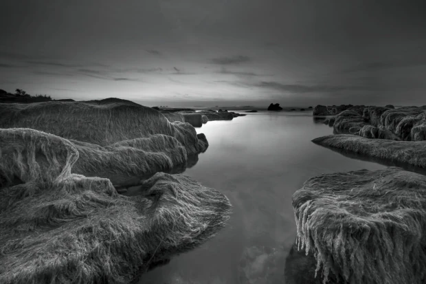 Wall mural FP 6476 - Graphic design featuring rocky shores and water by the sea.
