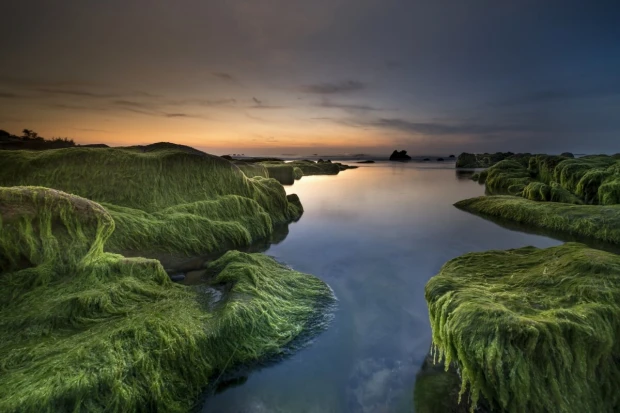 Wall mural of a seaside lagoon FP 6476 - Graphic design. Water reflects the sky, surrounded by greenery.