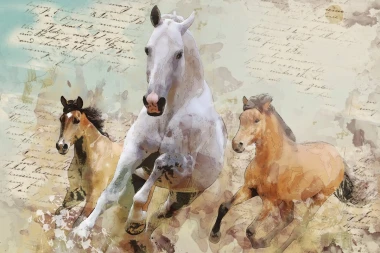 Wall mural of galloping horses FP 6480 - Graphic design featuring three horses in motion against old, yellowed text pages.