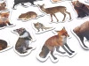 Forest animal magnets - Graphic design featuring various forest animals in realistic shapes.