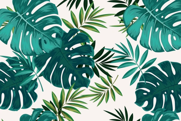 Monstera Leaves Wallpaper 092 - Graphic design with large green monstera leaves on a light background.