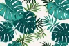 Monstera Leaves Wallpaper 092 - Graphic design with large green monstera leaves on a light background.