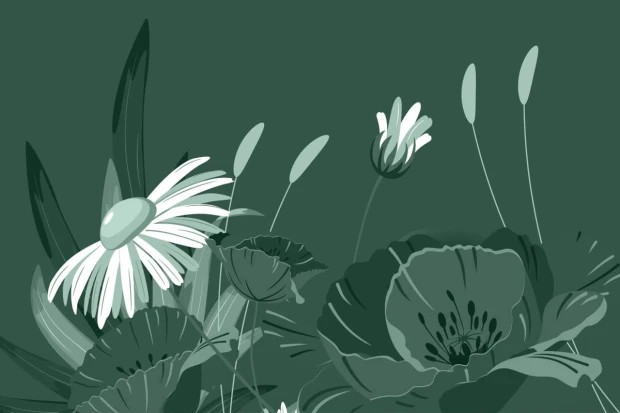 Daisy and poppy wallpaper 095 - Graphic design with green shades, white daisies, and red poppies.