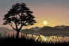 Tree wallpaper by the lakeside 0133 - Graphic design featuring a tree silhouette with mountains and a rising sun in the background.
