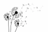 Dandelion Wallpaper 0192 - Graphic design featuring black dandelions with delicate seeds on a white background.