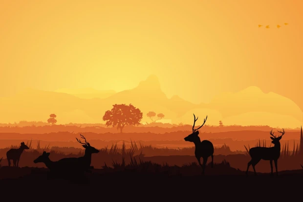 Deer and doe wallpaper 0225 - Graphic design featuring deer silhouettes against mountains and a sunset.