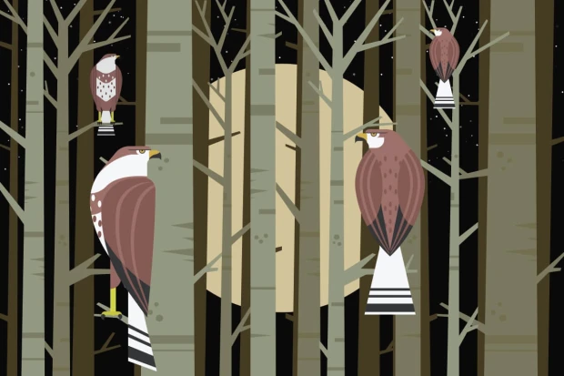 Birds in the Forest Wallpaper 0224 - Graphic design featuring trees and birds against a dark sky backdrop.