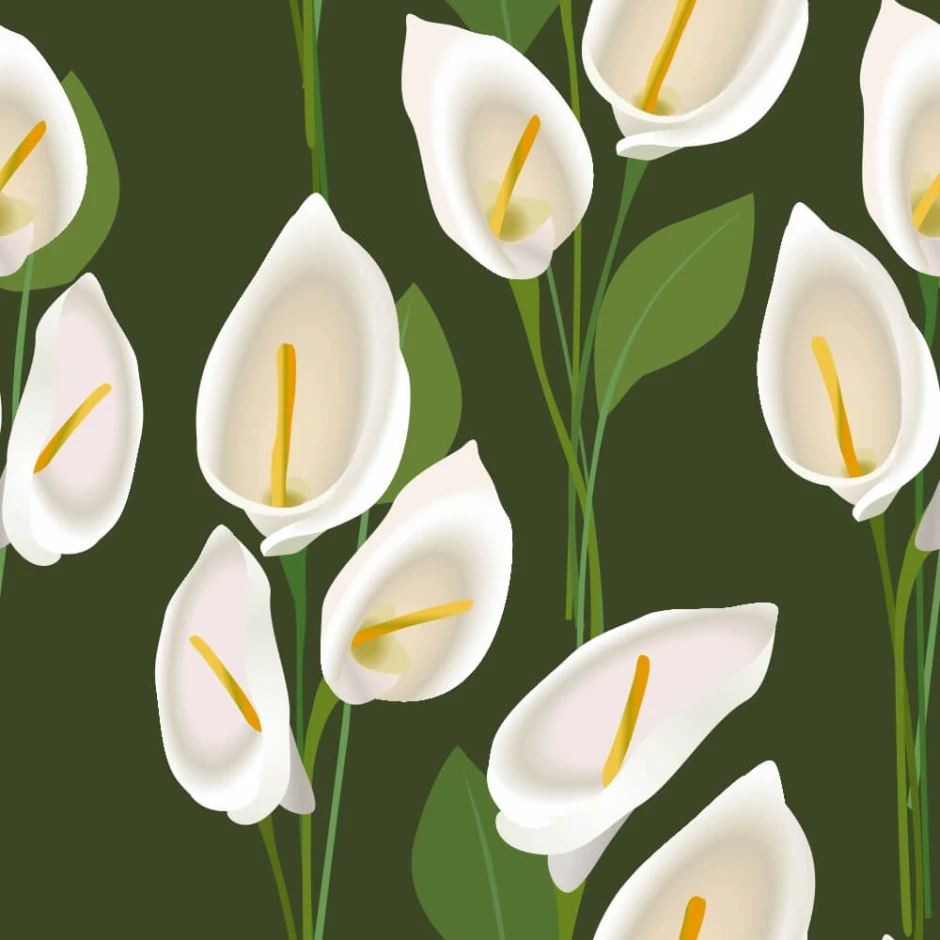 Kalie 0250 wallpaper - Graphic design with white flowers on a dark green background and green leaves.