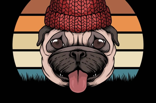 Dog wallpaper for kids\' room, featuring a pug in a red hat against a patterned background.