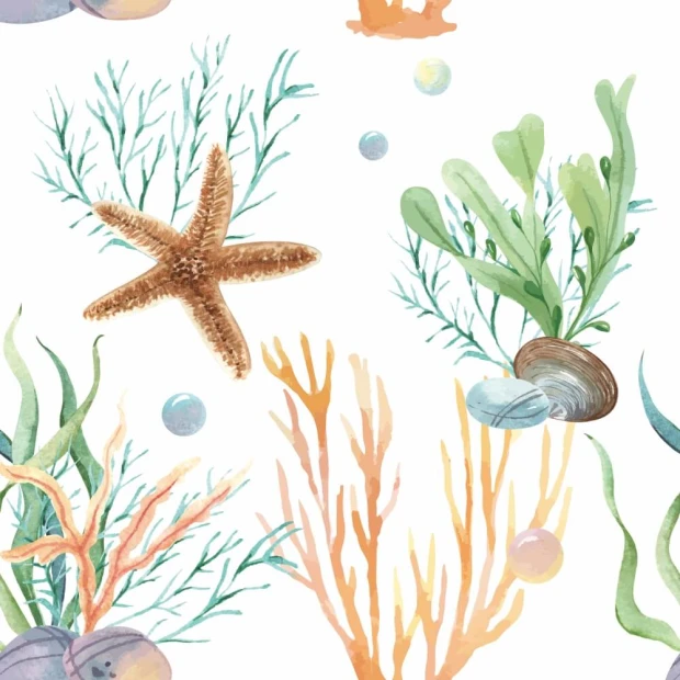 Underwater coral reef wallpaper 0326 - Graphic design featuring marine plants, shells, and starfish.