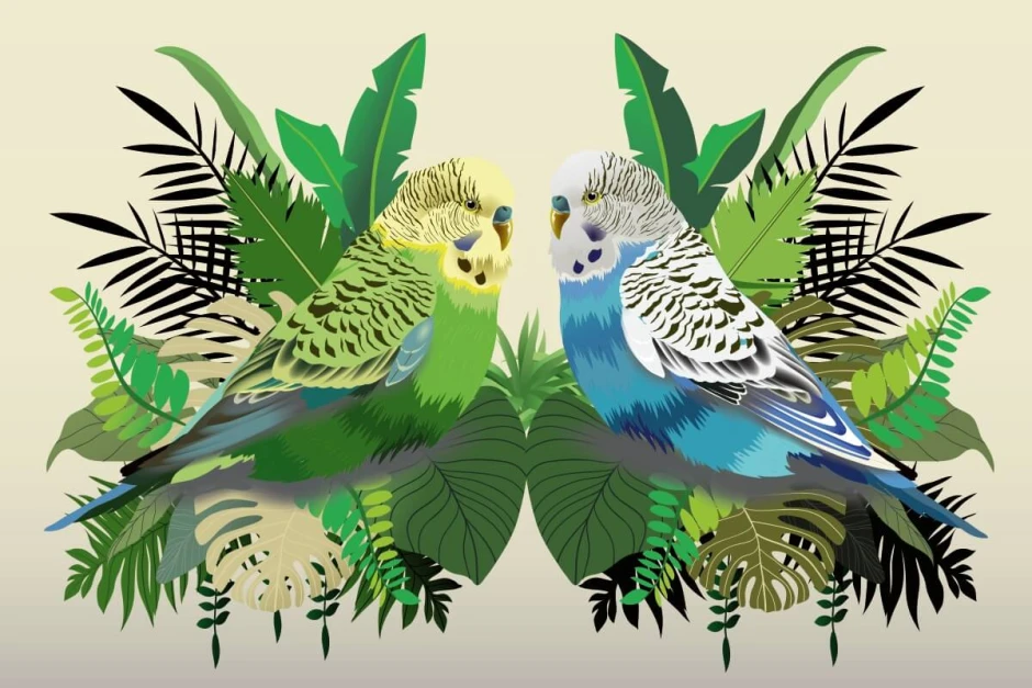 Wallpaper featuring budgerigars among leaves 0382 - Graphic design with two birds in a green and blue leaf setting.