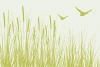 Wall wallpaper Dense grasses, geese 0404 - Graphic pattern. Green grasses and birds on a light background.
