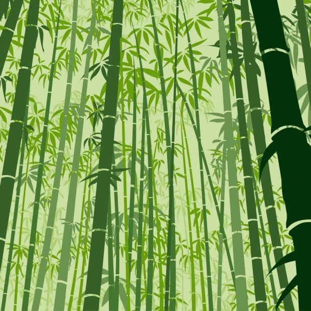 Bamboo Wall Mural, Forest 0497 - Graphic design featuring green bamboo stalks on a light background.