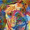 Bulldog wall wallpaper, geometric dog portrait 0473 - Colorful design with geometric shapes.