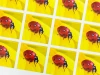 Custom adhesive label - Graphic design. Red ladybugs on a yellow background in a regular pattern.