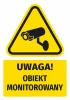 Warning safety sticker with a monitored object icon. Yellow triangle with a black camera design.