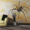 Spider sticker 1062 in a modern living room, adding character and mystery to the space.
