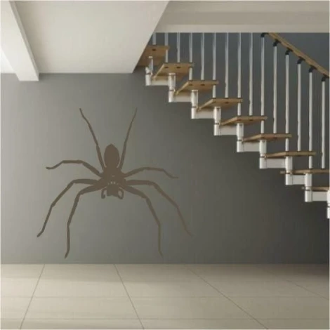 Stylish spider sticker 1063 in a minimalist interior, perfect for a modern hallway.