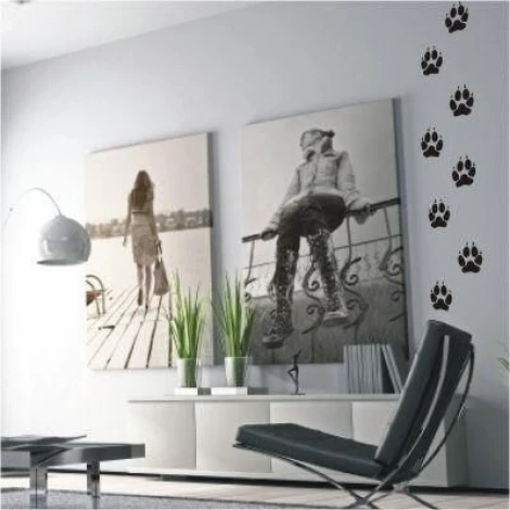 Dog paw prints in a modern living room, adding character and coziness to any space.