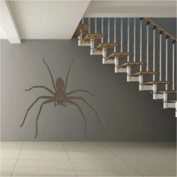 Spider painting template 1063 - Hallway design. Gray wall, wooden stairs.
