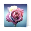 Canvas print 75x75 cm - Graphic design. Rose in shades of pink and purple with water droplets on the petals.