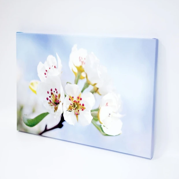 Canvas print 30x40 cm - Graphic design. White flowers on a light background with delicate green leaves.
