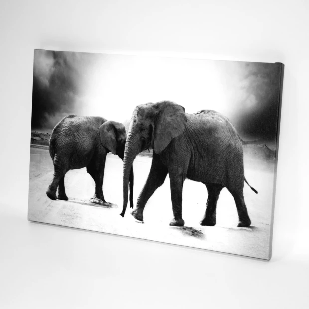 Canvas print 40x60 cm - Graphic design featuring two elephants on a gray-white background with contrasting light.