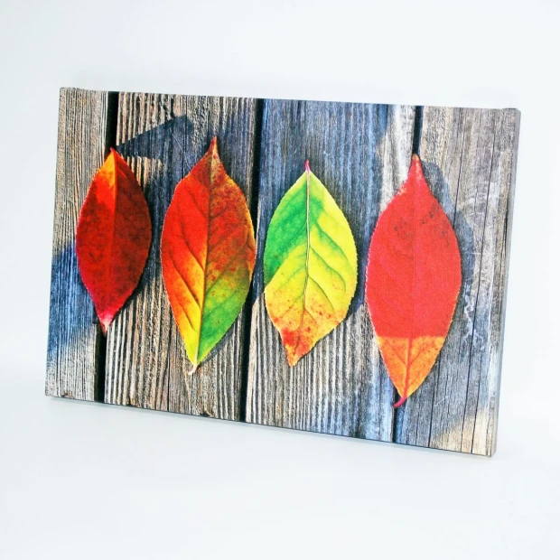 Canvas print from a photo 60x90 cm - Graphic design. Four leaves in red, orange, yellow, and green colors.
