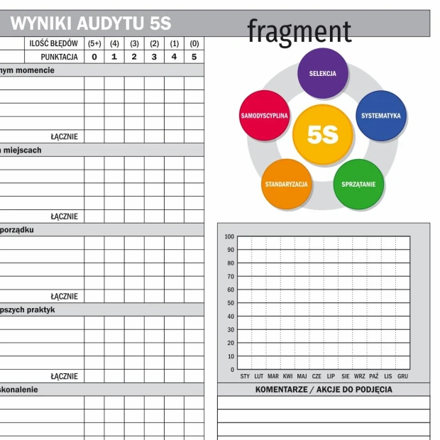 Dry-erase magnetic board Lean 161 5S Audit Results - Graphic design featuring a table with ratings.